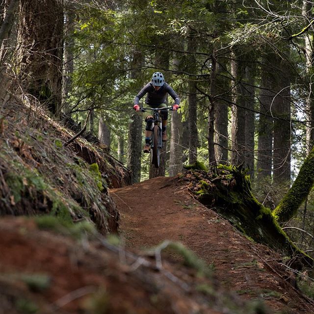 Mountain biker on loamy singletrack in the Tahoe National Forest